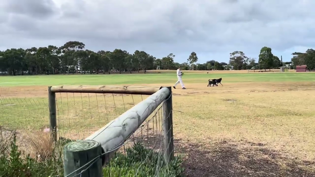 Elsternwick park 