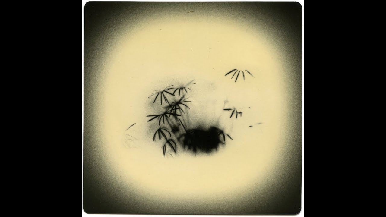 #57 Perfectly Imperfect: wabi sabi in photography and ceramics