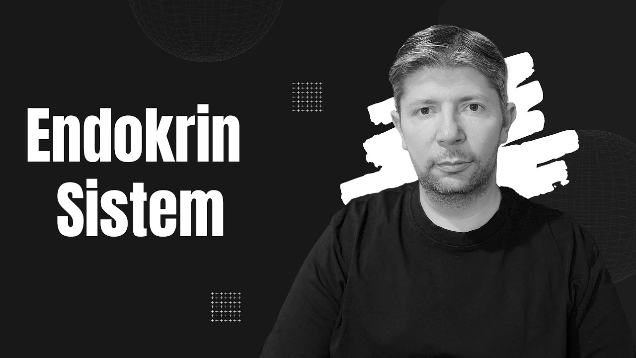 Endokrin Sistem  #biyoloji #yks #yks2025 #sarmalbiyoloji #2025tayfa #aytbiyoloji #aytbiyolojinotları