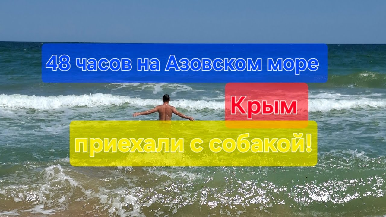 Азовское море на 48 часов. Приехали на старое место.  Крым,  посёлок Нижнезаморское.