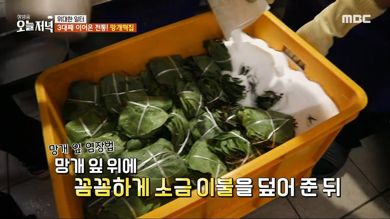 [생방송 오늘 저녁] 2대 사장님이 개발한 망개 잎이 시들지 않게 보관하는 법🍃, MBC 240527 방송