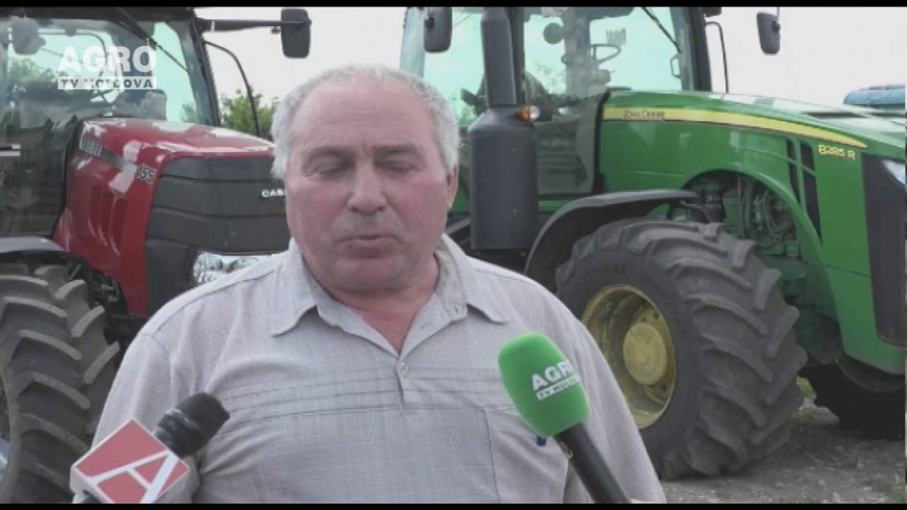 Tehnologia no-till  aduce succes agricultorilor moldoveni