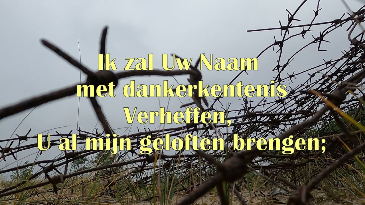 Psalm 116 vers 1, 2, 3 & 10 met Tekst | Mannenkoor + Orgel