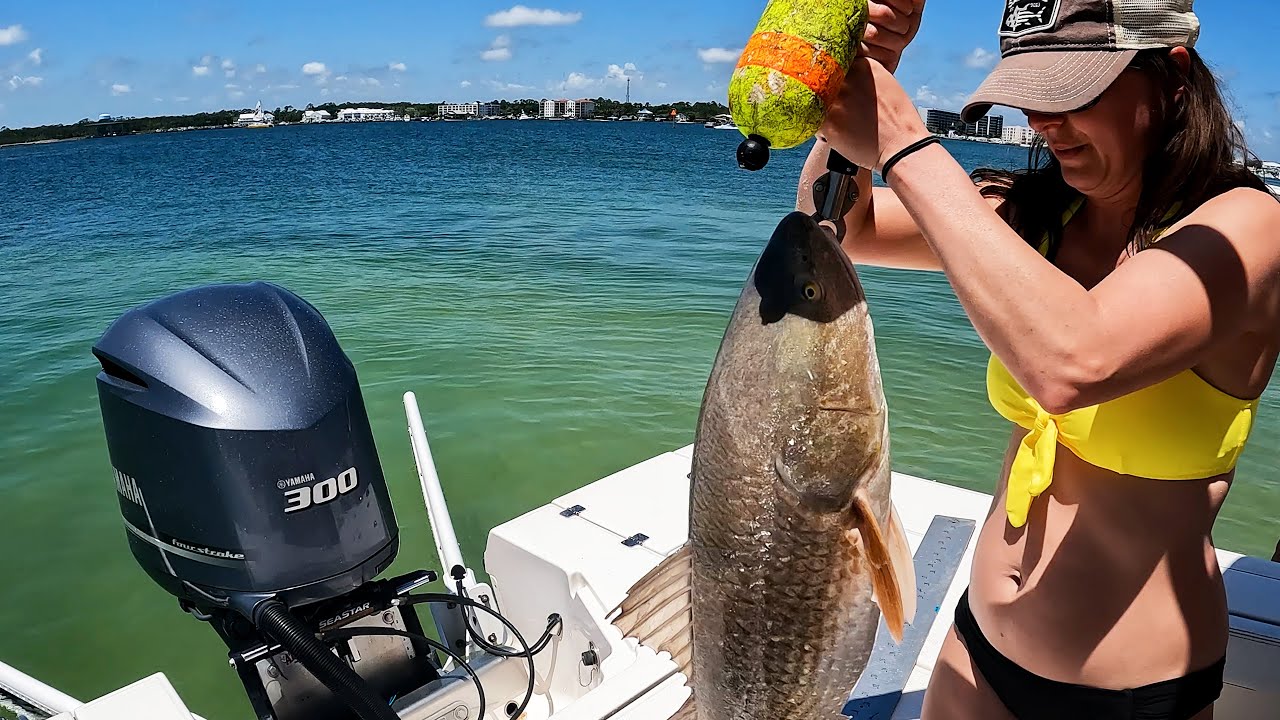 Orange Beach Alabama Big Red Fish and Red Snapper