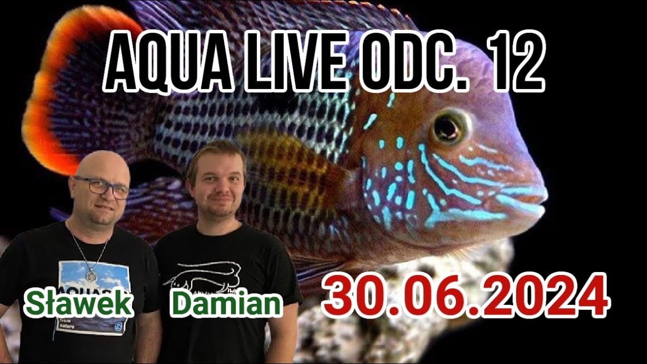 AQUA LIVE ODC. 12 | Choroby ryb akwariowych | 30.06.24 |  #aquascapingtv