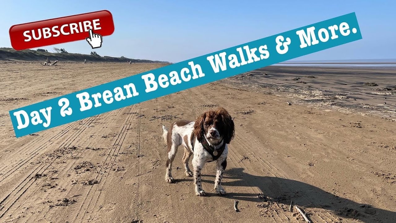 Brean Beach Dog Walk 🐕 | Staying at Hurn Lane C&M Club Site