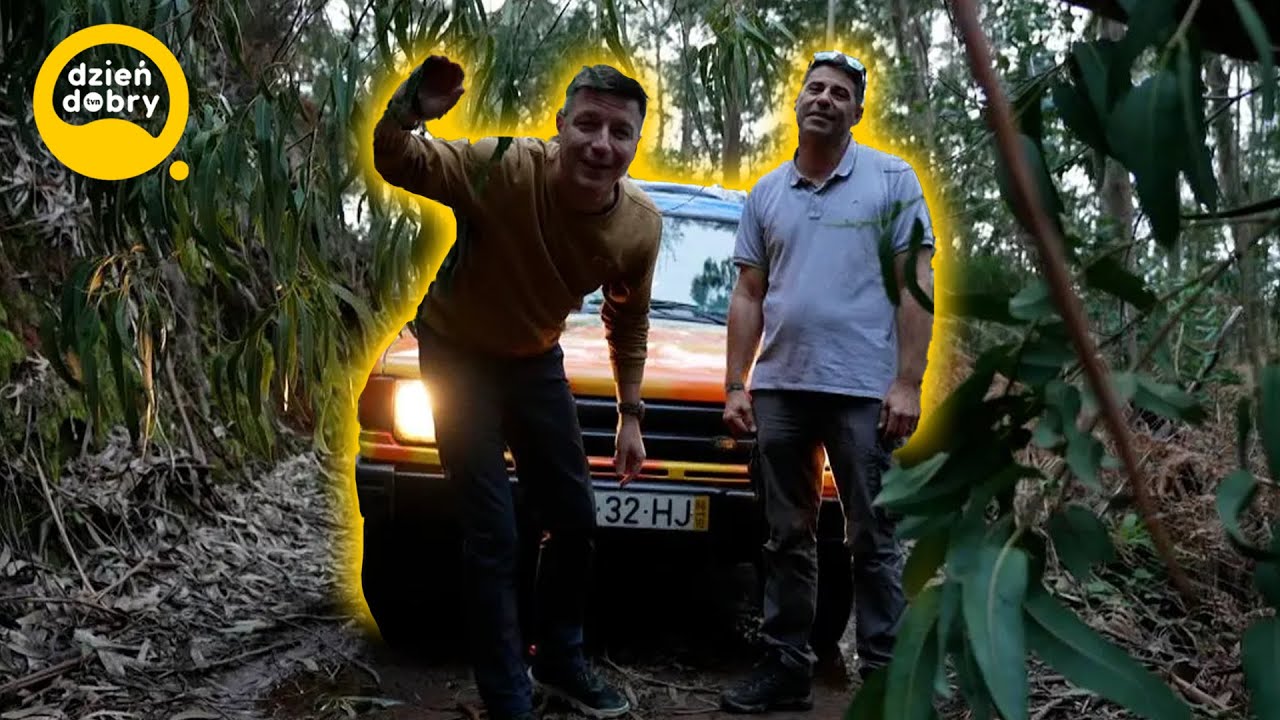 MADERA - co warto zobaczyć? Mini-przewodnik po portugalskiej wyspie 🏝️ | DDTVN