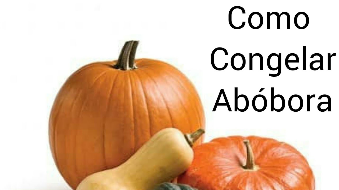 Como congelar ab&oacute;bora!