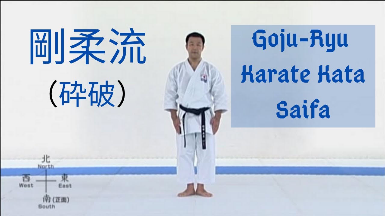 剛柔流 [砕破] Goju-Ryu Karate Kata Saifa || Smash ＆ Tear Apart