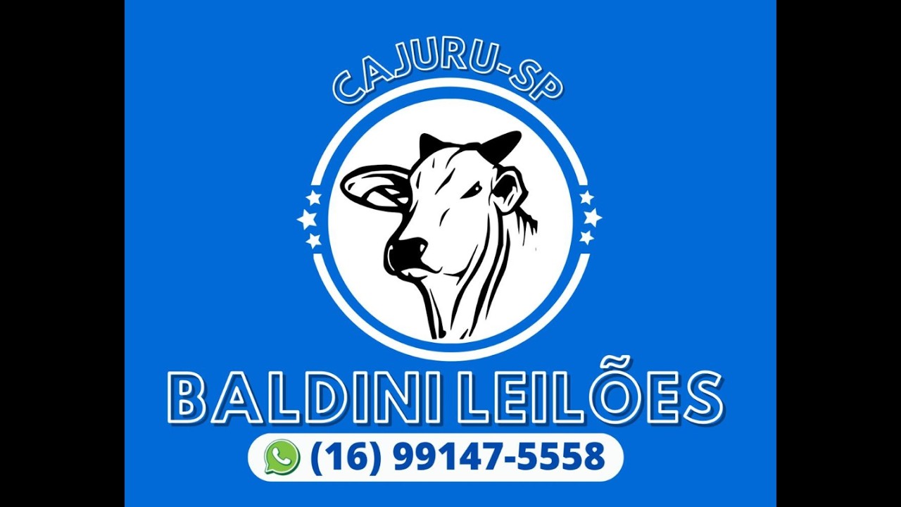 BALDINI LEILÕES