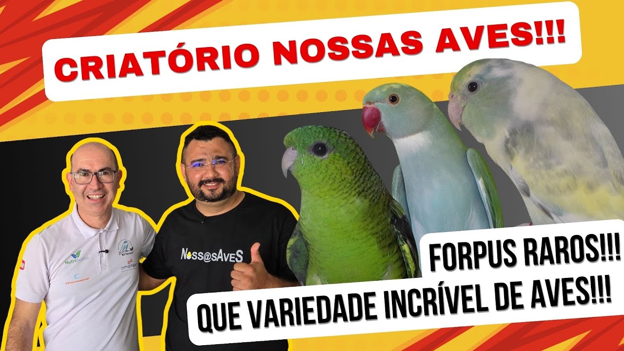 FORPUS MUTAÇÕES RARAS!!!UM DOS MAIORES CRIADORES DO BRASIL!!!