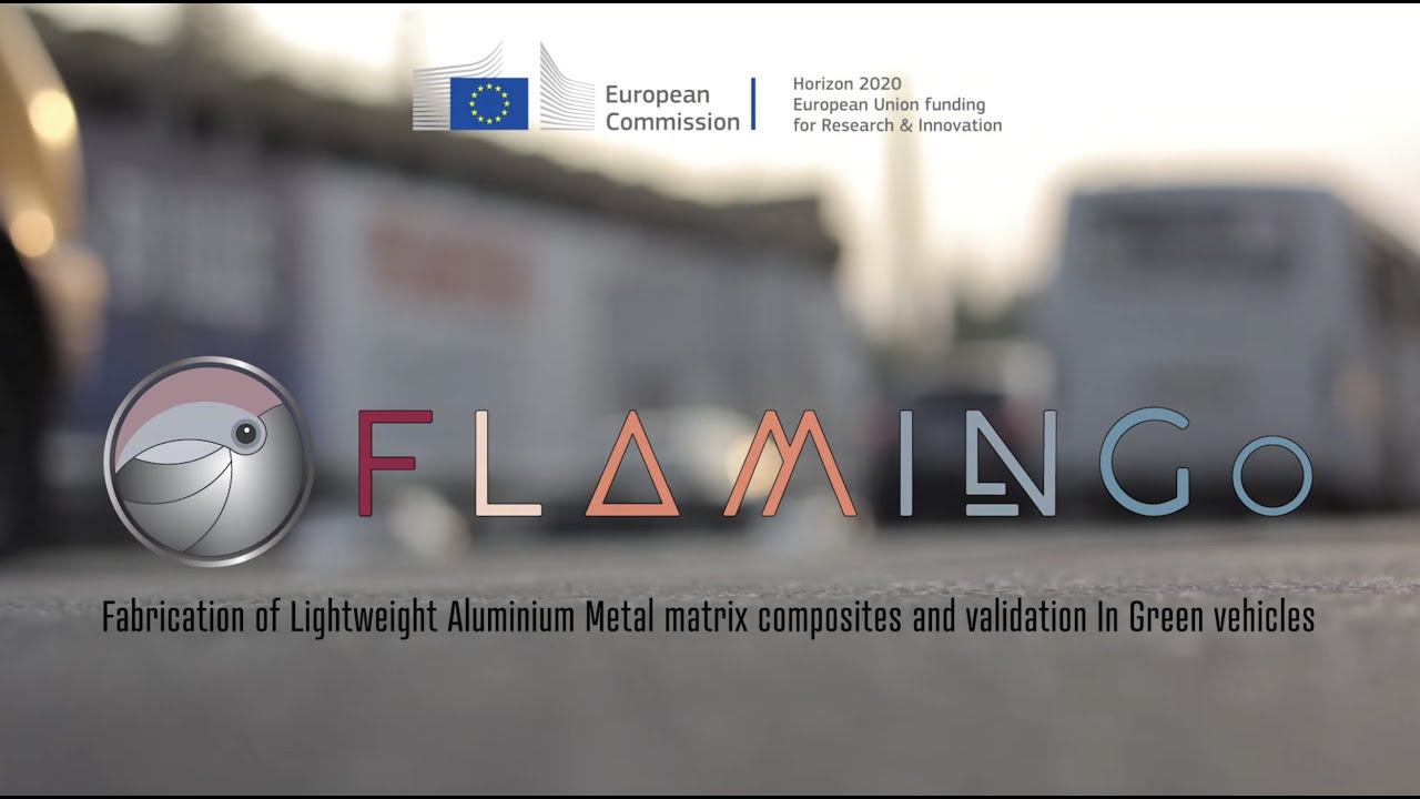 FLAMINGo H2020 Project: Informative Video