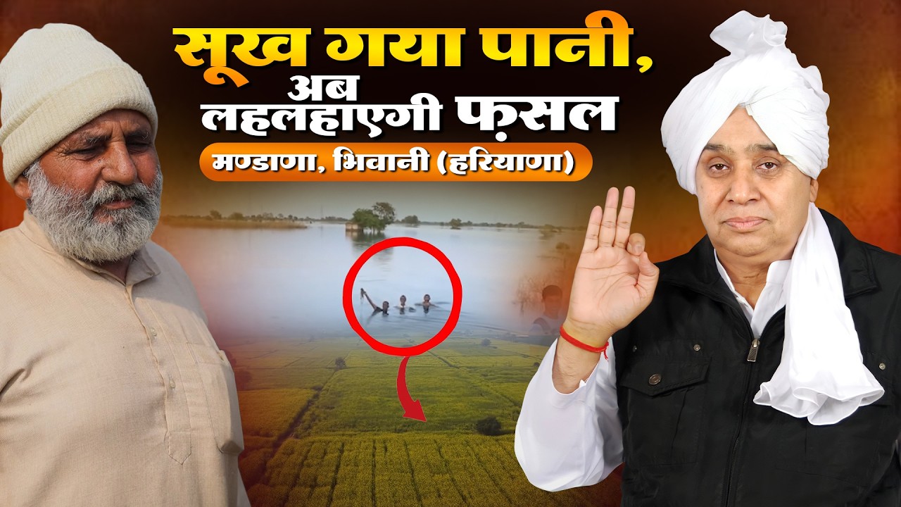 75 वर्षीय बुजुर्ग की पुकार: संत जी ने दिया जीवनदान, बिजाई देख खिल उठे मण्ढ़ाणा, भिवानी (HR) के किसान