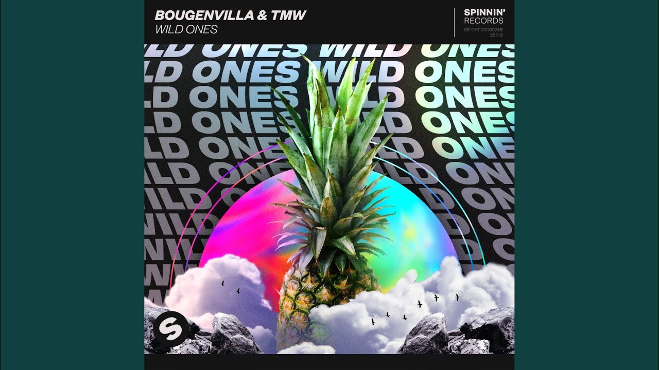 Wild Ones (Extended Mix)