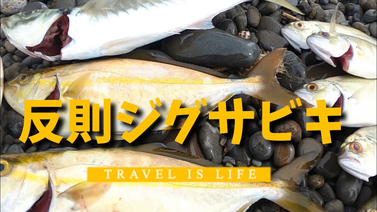 釣れすぎるジグサビキ見つけたので参考にどうぞ【煙樹ヶ浜で尺アジ、シオ、メッキ編】