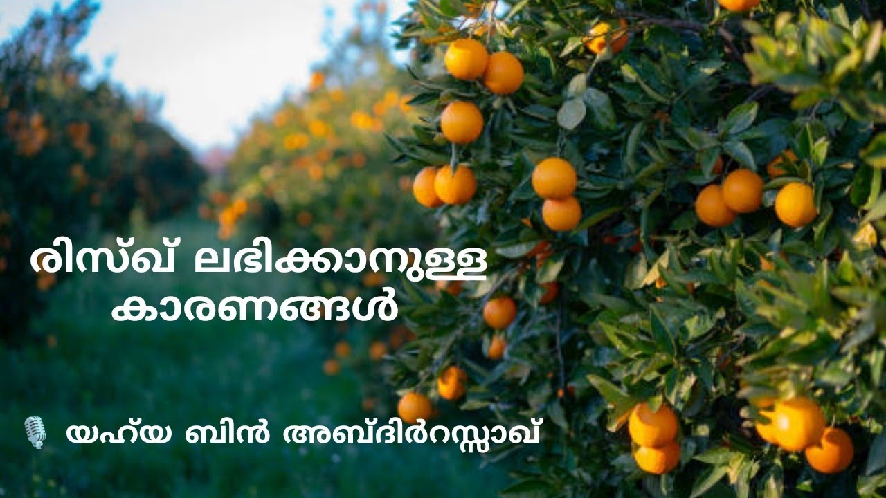 രിസ്ഖ് ലഭിക്കാനുള്ള കാരണങ്ങൾ - 🎙️ Yahya bin AbdurRazaq