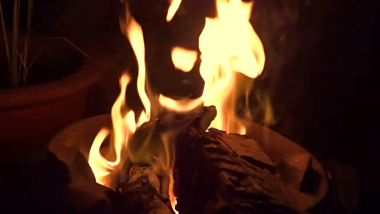 Outdoor Fire 🔥Crackling Sounds for Deep Relaxation