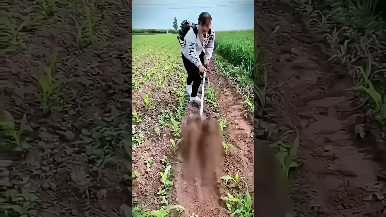 Portable Carry-Along Farm Machine #smartfarming #gardeningtips #organicfarming