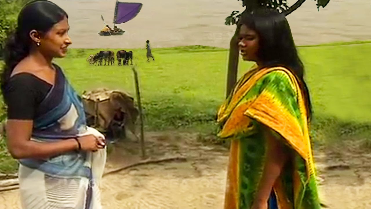 ব্রহ্মপুত্র নদ ও নদ পারের গ্রামীন জীবন || Brahmaputra River || Panorama Documentary