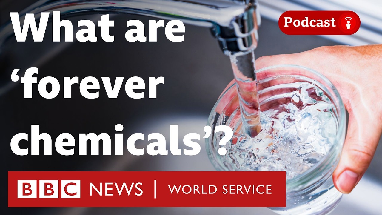 The forever chemicals that end up in our bodies - What in the World podcast, BBC World Service