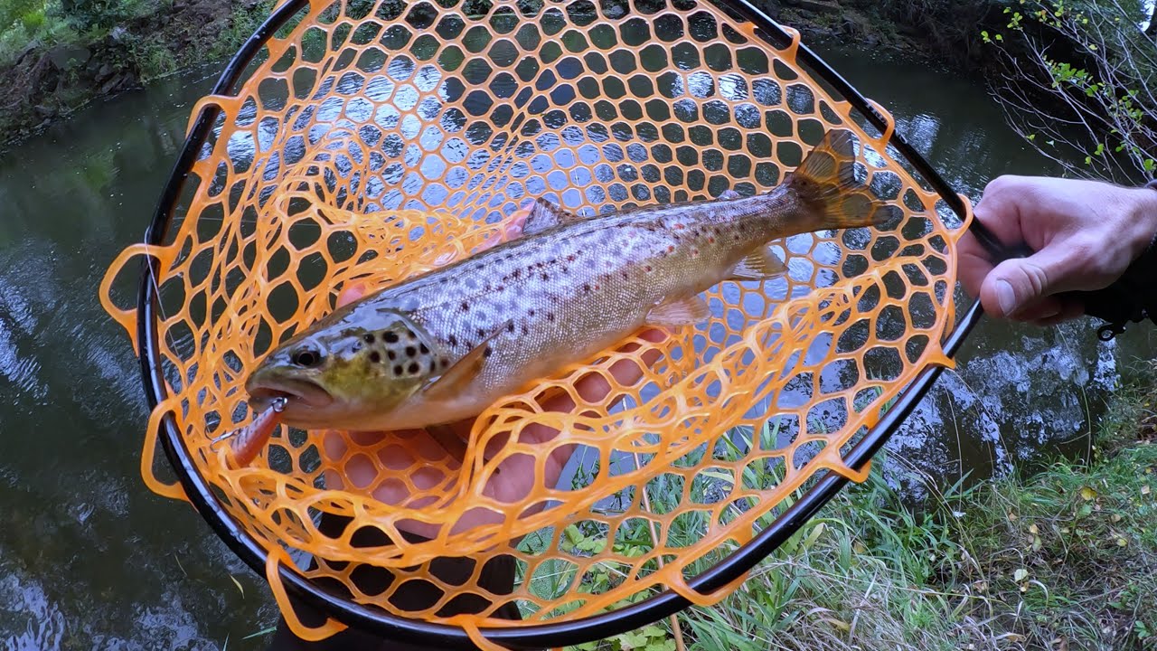 [Trout Fishing] Ловля Ручьевой Форели в дождливую осень