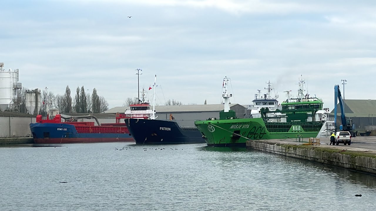🟥Patron arrival #Sharpness #Dock super long. #freight