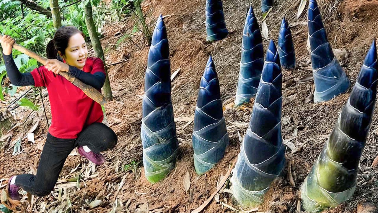 Harvesting Bamboo Shoots Underground To Sell At The Market - Duck Care | Hanna Daily Life