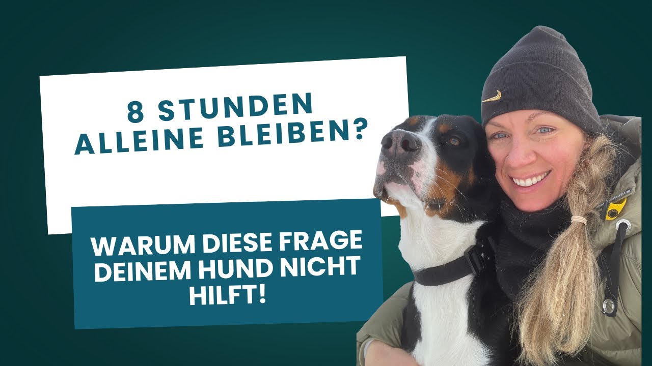 8 Stunden alleine bleiben? Warum diese Frage deinem Hund nicht hilft! 
