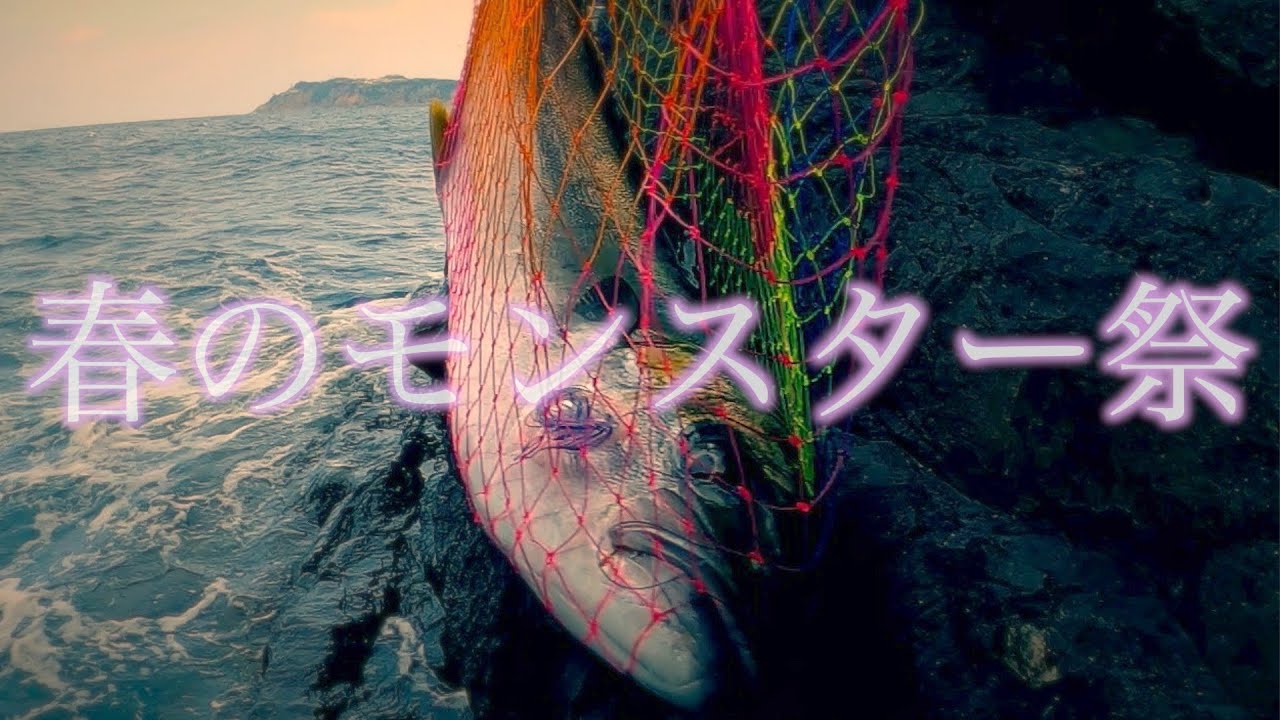 2kgのグレが餌とり⁉︎ 特大青物連発!! 日本で一番熱い磯がヤバすぎる〜！！！！！