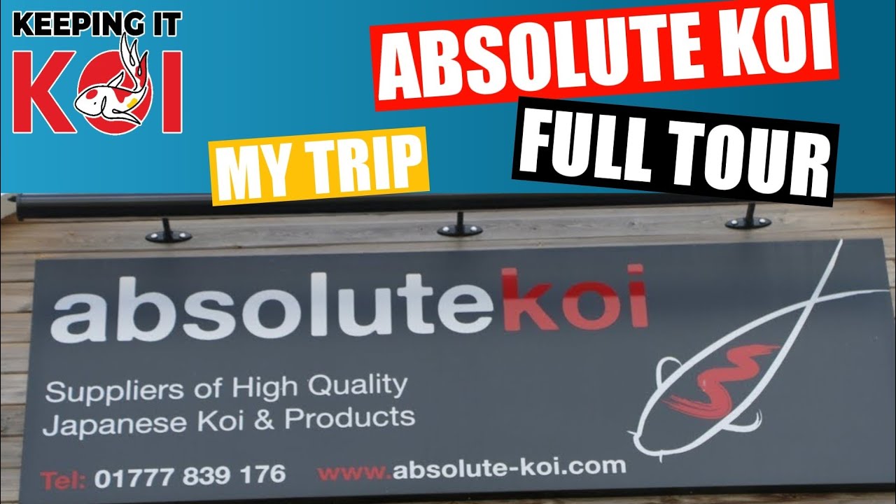 Absolute Koi Road Trip, worth a visit 👍🏻