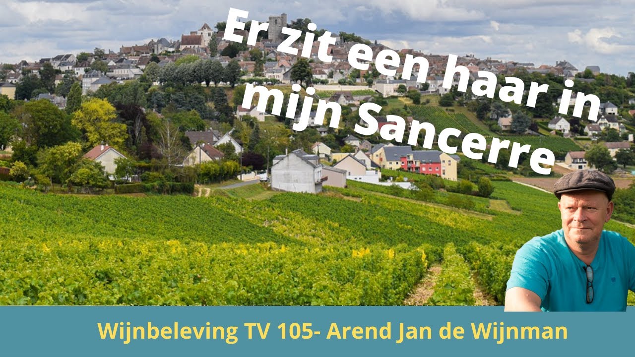 Loirewijn Sauvignon, Er zit een haar in mijn Sancerre - Wijnbeleving TV/105 - ( Subt: NL-FR - ENG )