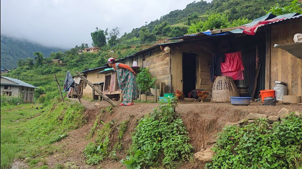 Real Nepali Mountain Village Life During the Rain | Daily Activities of Rural People in Nepal