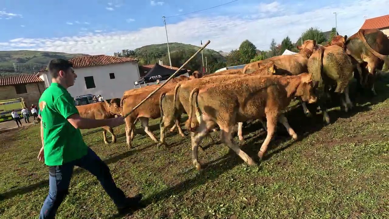FERIA DE  RIOTUERTO 2025