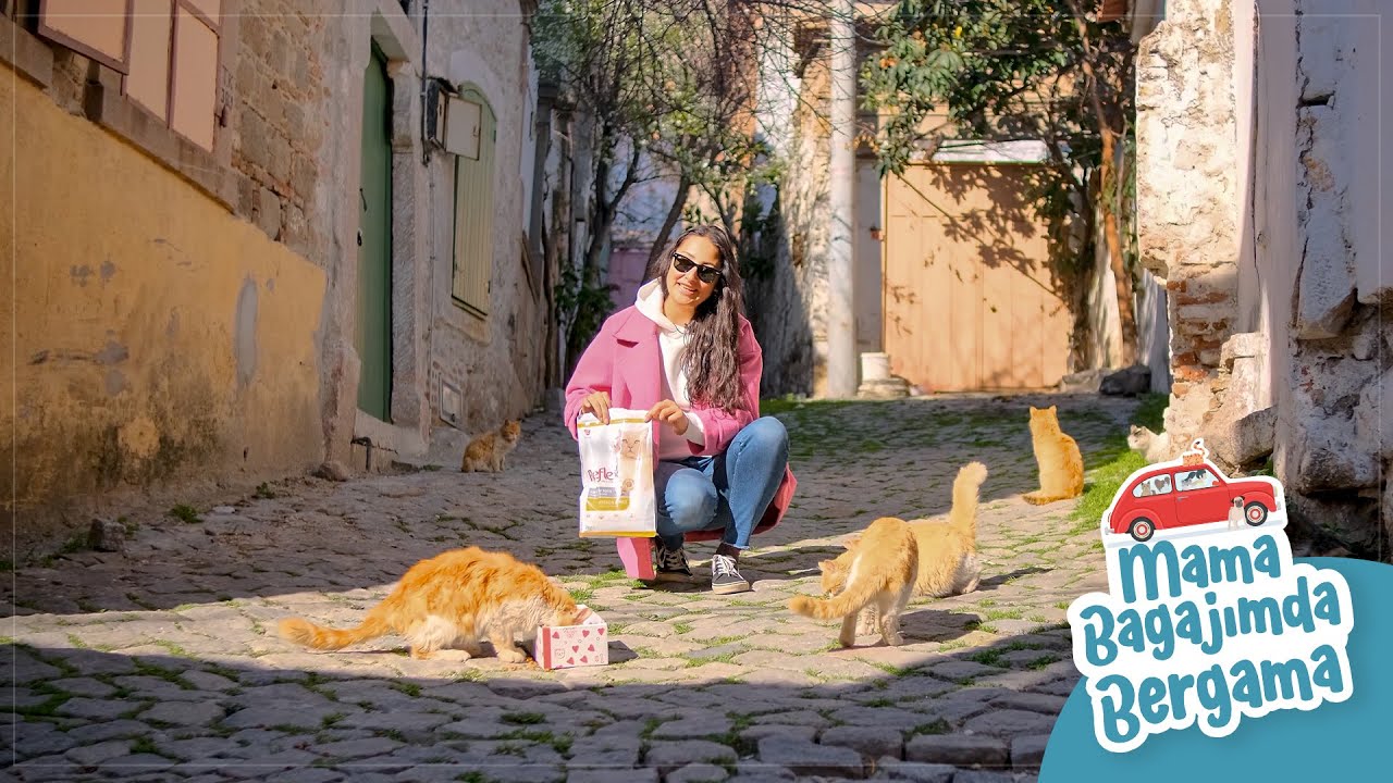 Mama Bagajımda: Bergama’da Yapılacak 5 Harika Şey!