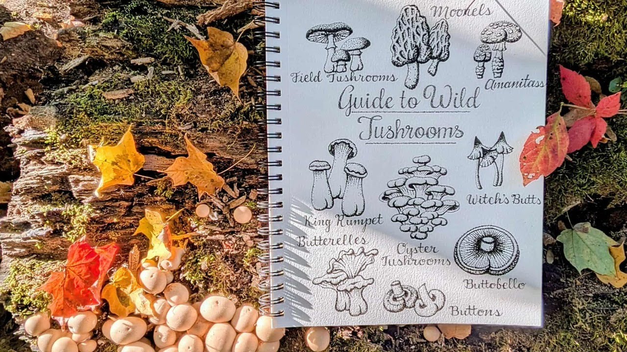 Mushroom Butts- Pen Drawing | Live Painting Tutorial - Learn to paint from home