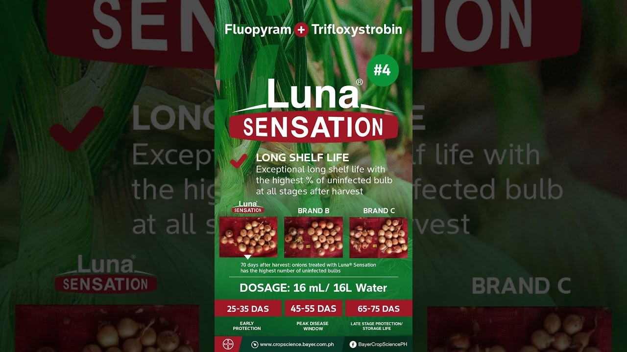 Luna® Sensation Key Benefits #4: Long Shelf Life