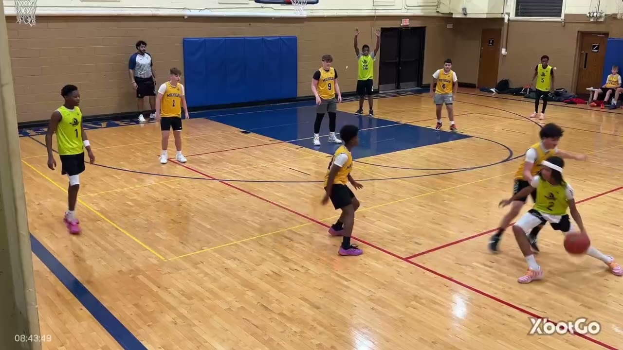 Wolverines vs Ducks