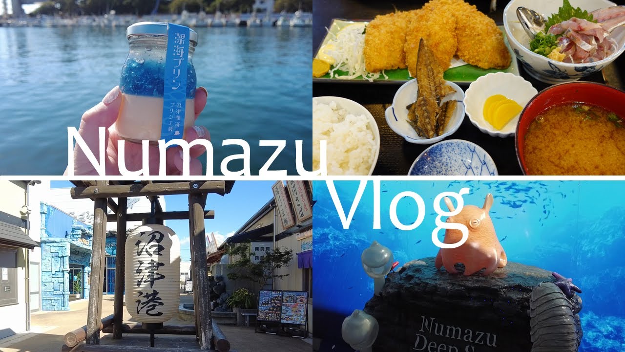【Vlog】沼津港で巨大アジフライ定食を食べてきた＆三島スカイウォーク / Shizuoka City Numazu Port Vlog