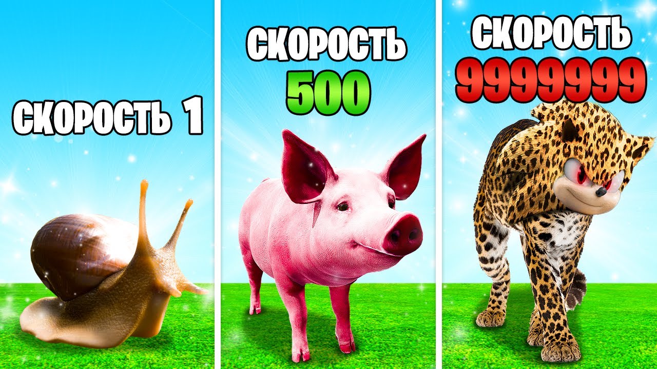 ПРОКАЧАЛ САМОЕ МЕДЛЕННОЕ ЖИВОТНОЕ ДО САМОГО БЫСТРОГО ЖИВОТНОГО в ГТА 5 ОНЛАЙН (GTA 5 ONLINE)