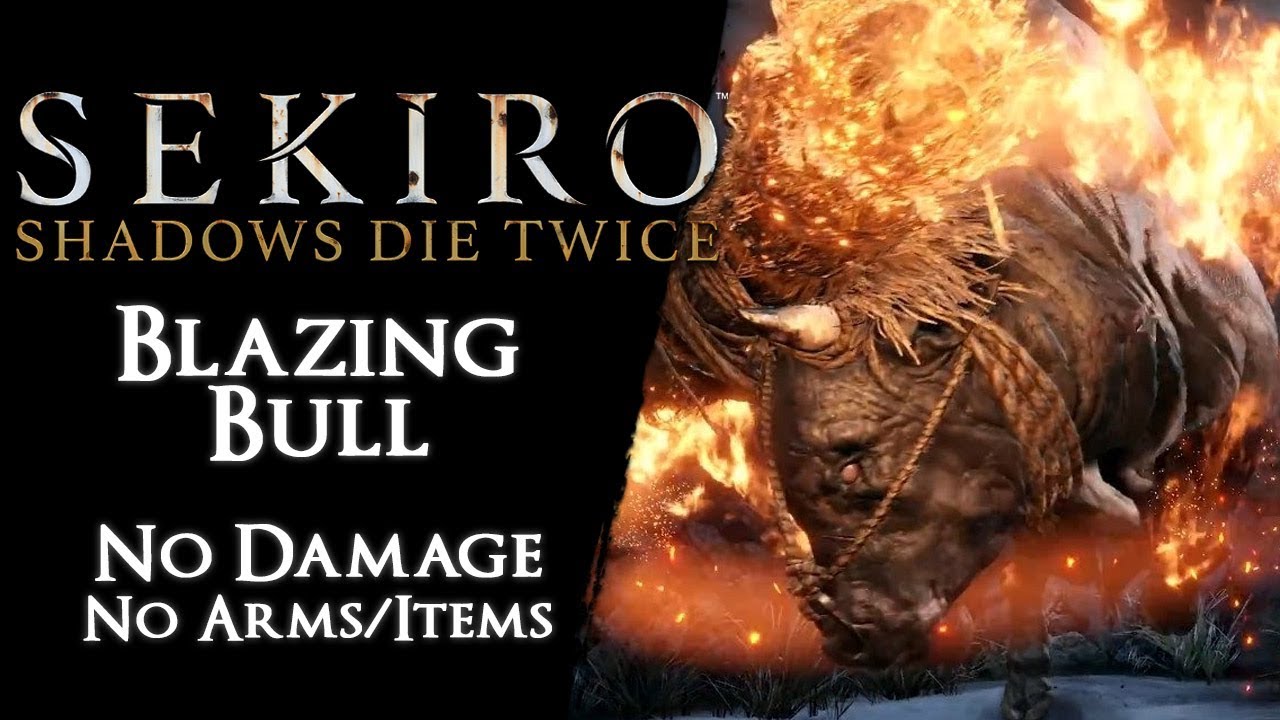 Blazing Bull - Base Vitality【No Damage, Prosthetic Arm, Arts, Items】