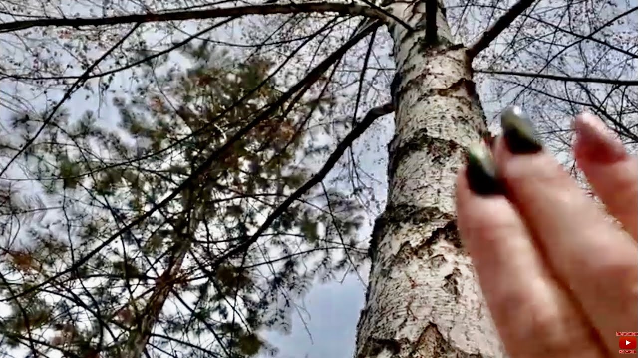 АСМР |Камера айфона |Постукивания |Движения руками |ASMR |Camera phone |Tapping |Hands movements