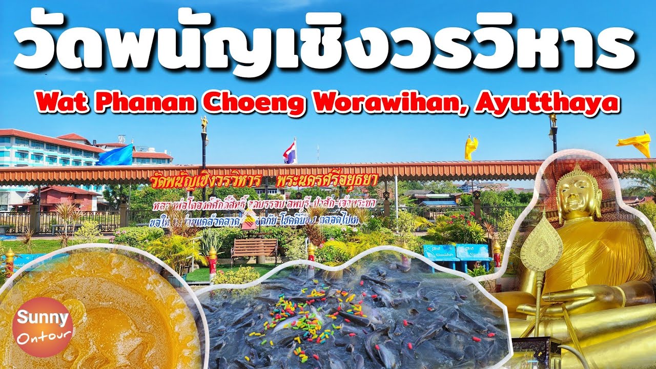 ไหว้พระให้อาหารปลาที่ "วัดพนัญเชิง​วรวิหาร" จ.อยุธยา​ Wat Phanan Choeng Worawihan, Ayutthaya
