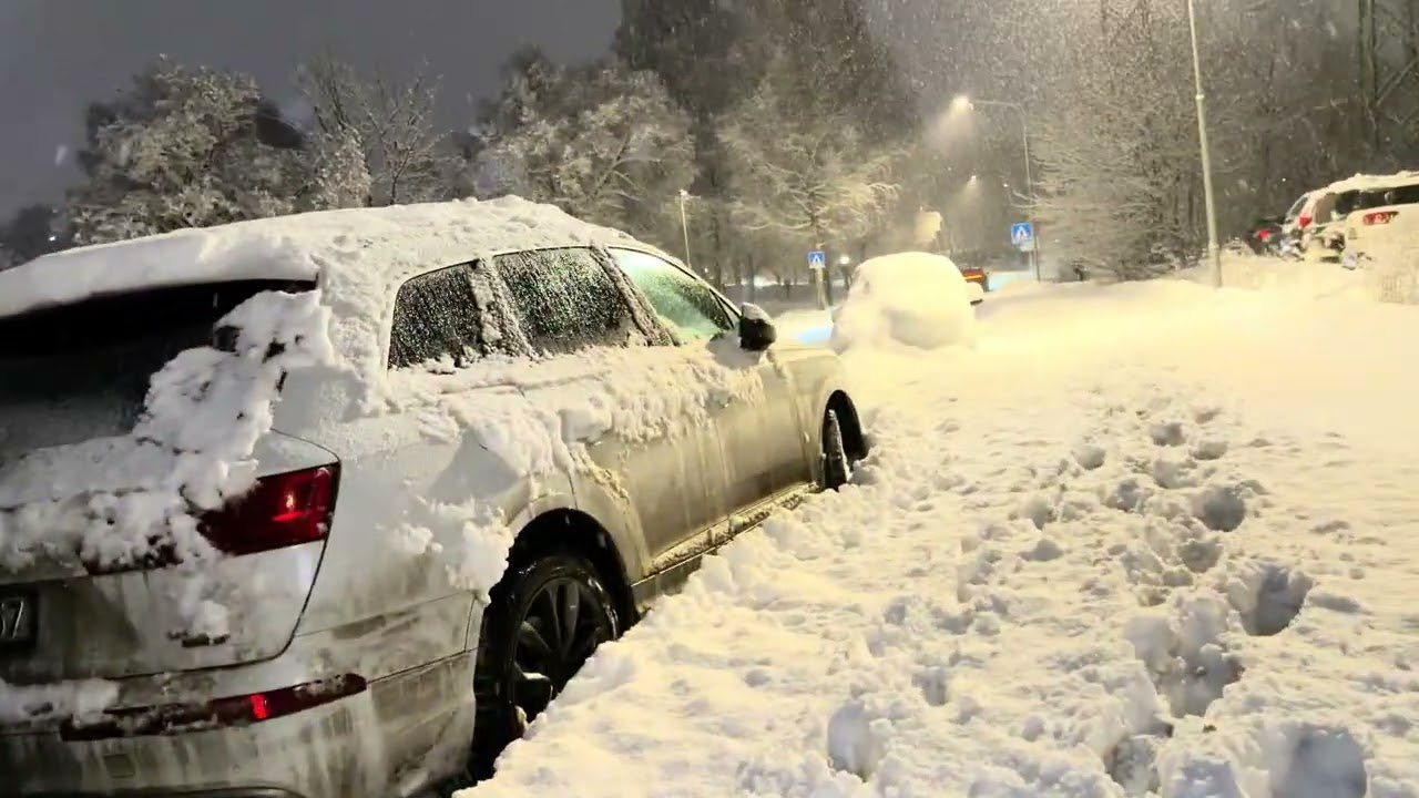 اولین برف ناروی🇳🇴#snow #snowfall #winter #norway 
