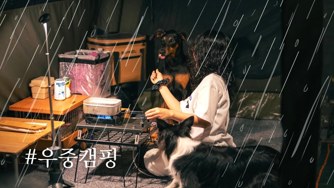 가을비 내리는 자연 속 대형견과 함께하는 우중캠핑ㅣ화천 드림캠핑장ㅣ에어노크10.0st 차량도킹