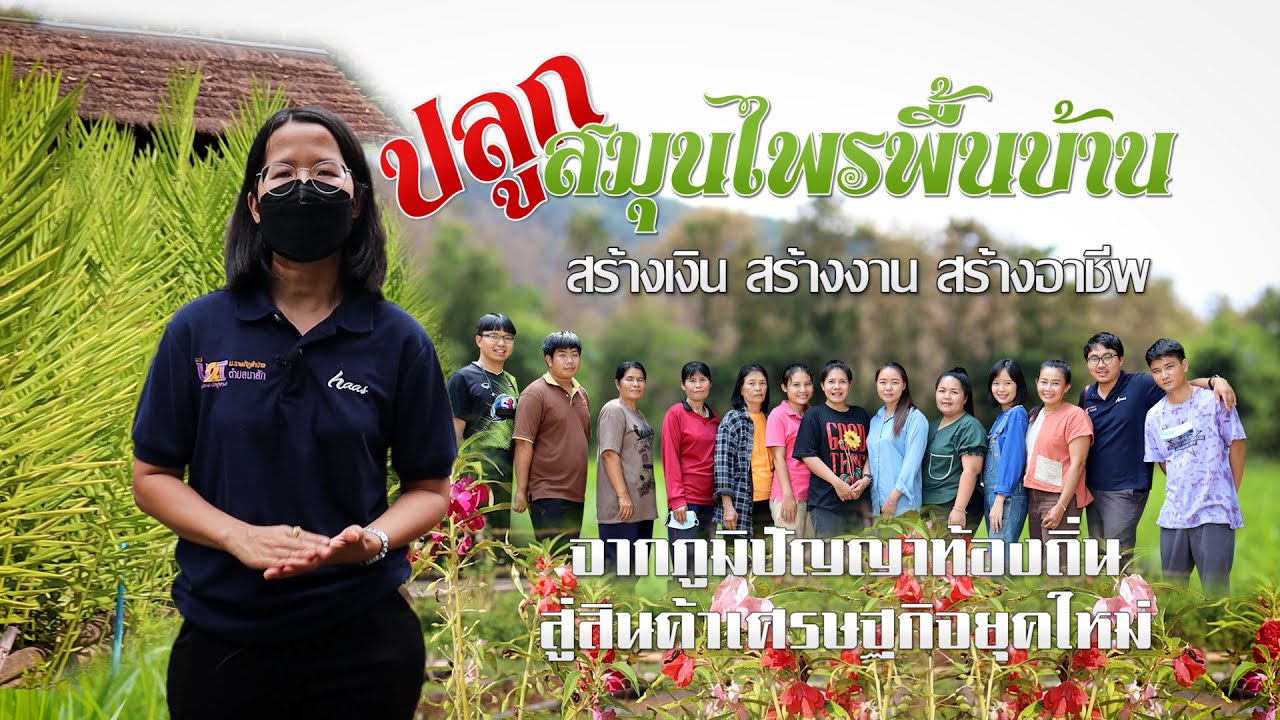 ปลูกสมุนไพรพื้นบ้าน 