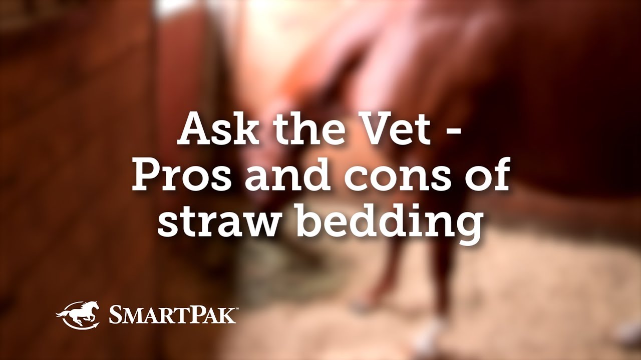 Ask the Vet - Pros and cons of straw bedding