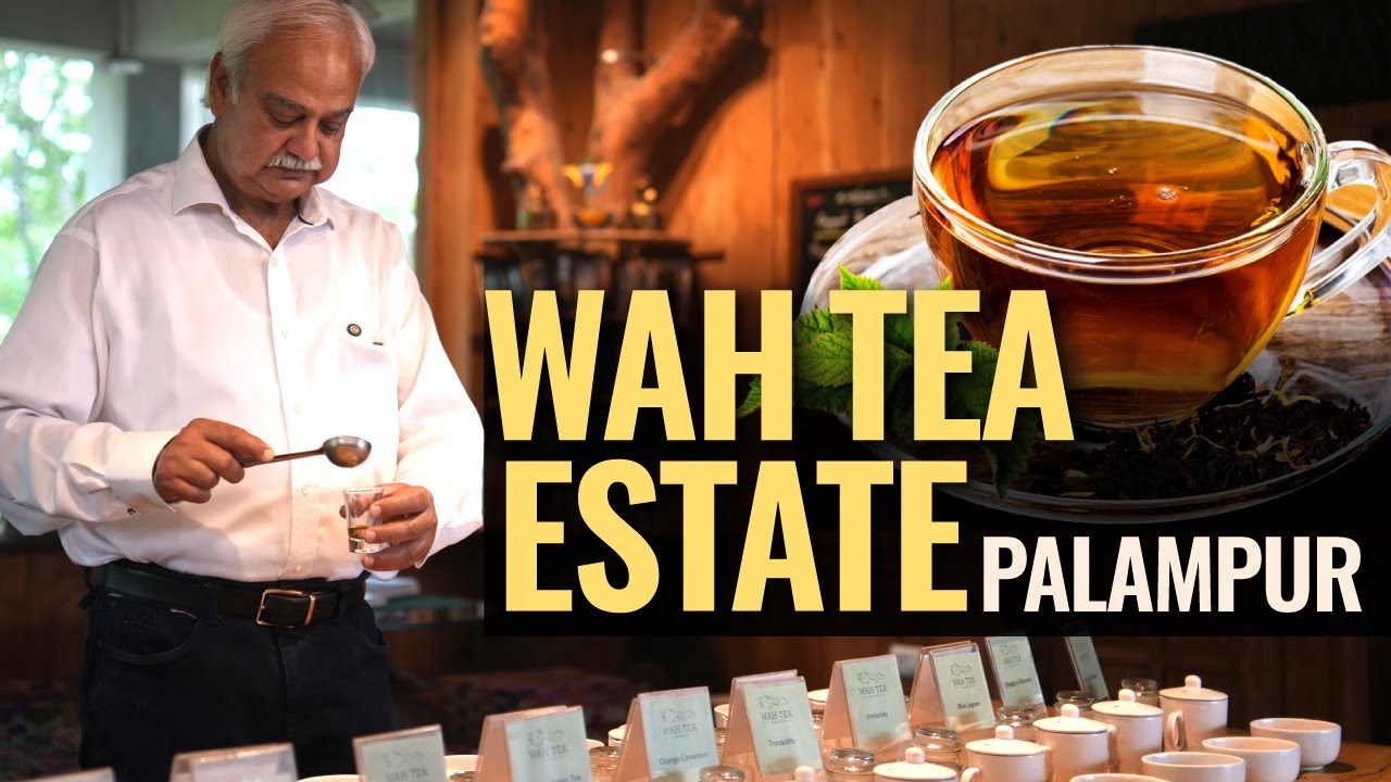 Explore one of Palampur's largest tea estates: Wah Tea Estate || Sandeep Mehta