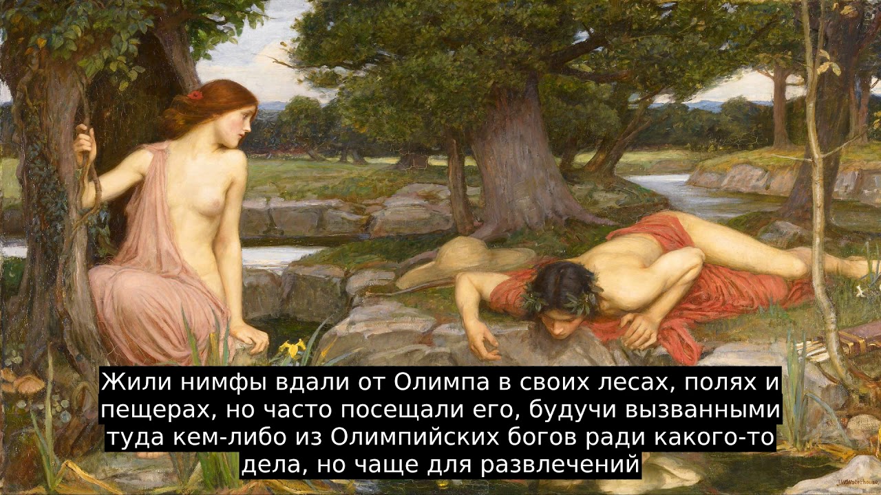 Нимфы