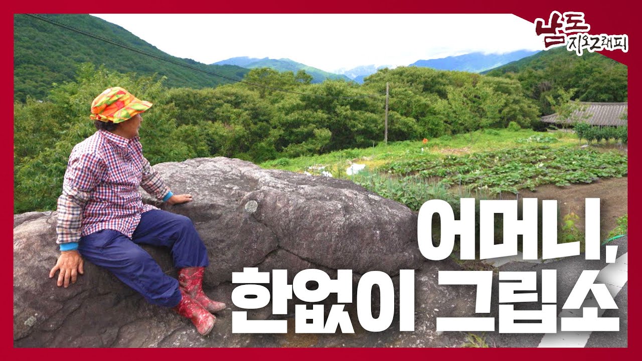 어머니, 한없이 그립소 [남도지오그래피｜240814]