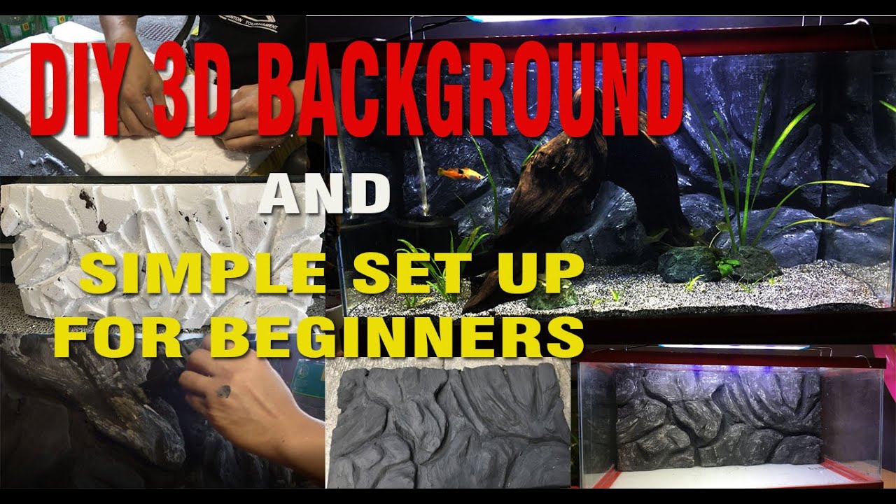 HOW TO: make DIY 3D aquarium background and simple set up